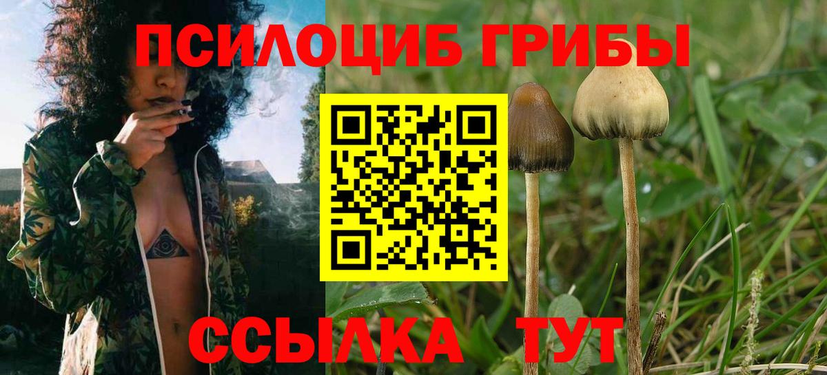 Галлюциногенные грибы MAGIC MUSHROOMS Жигулёвск